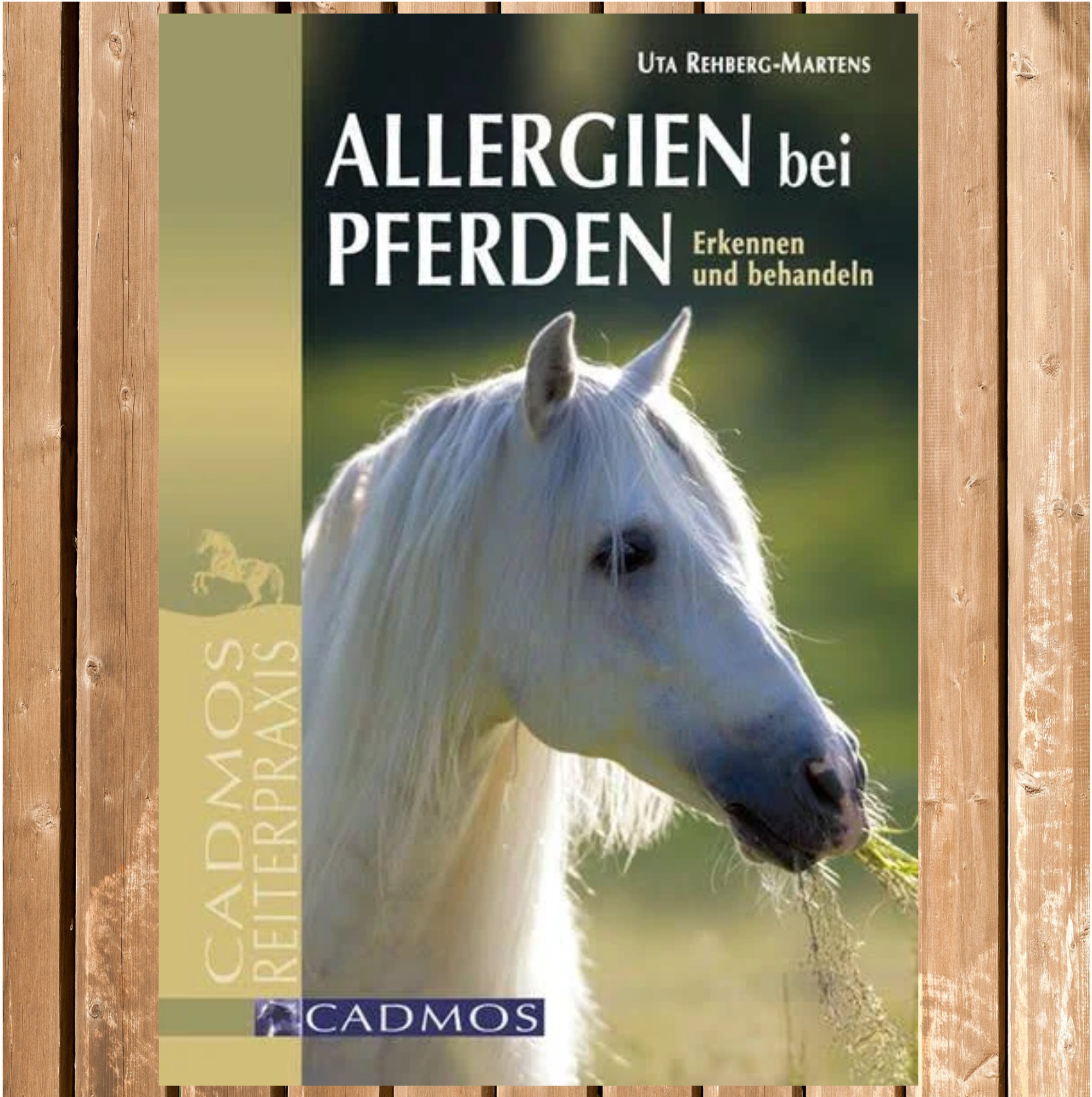 Allergien bei Pferden - Erkennen und behandeln